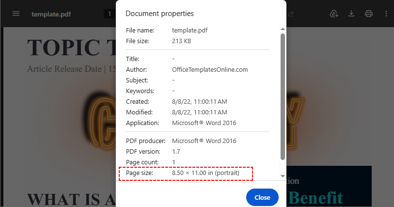 Pop-up de Propriedades do Documento do Chrome contendo informações sobre o tamanho da página