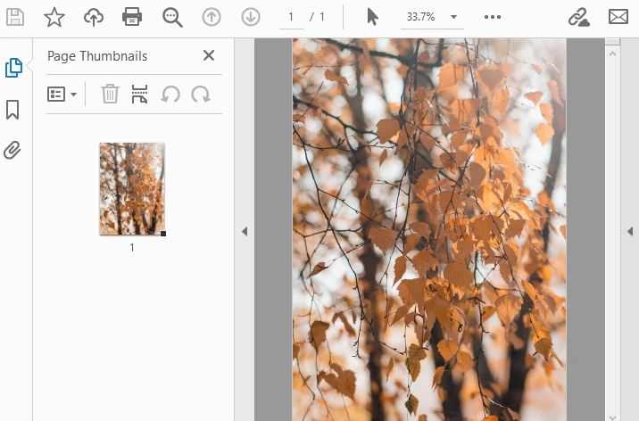 PDF converted from HEIC file using Python