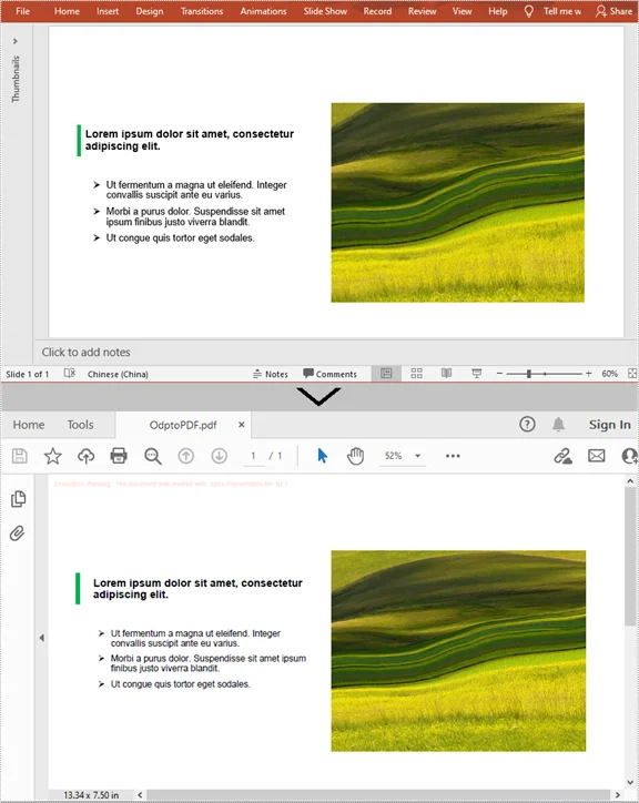 Screenshot di PDF convertiti da file ODP utilizzando C#