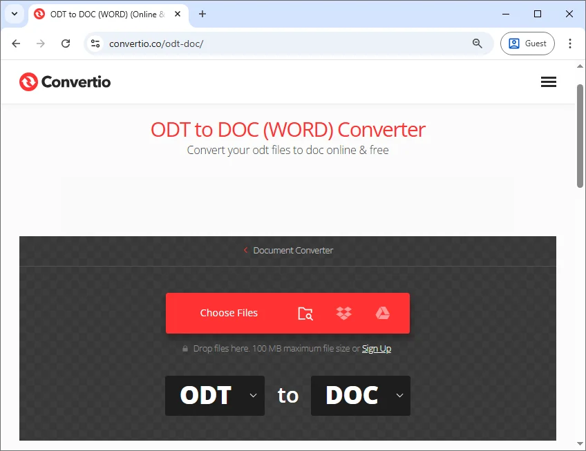 Converti ODT in Word Online Gratuitamente