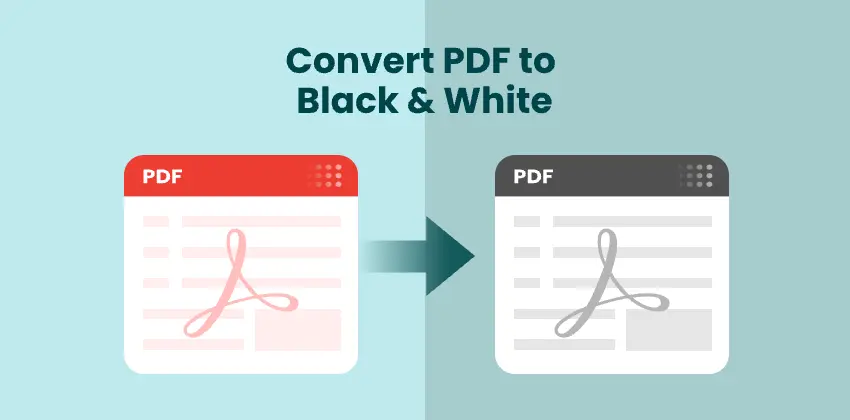 Convertir un PDF en noir et blanc