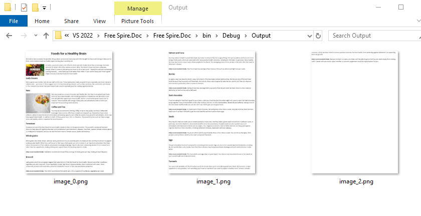 Le immagini PNG convertite da un file HTML tramite C#