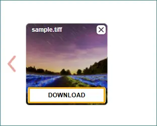 Download the generated file