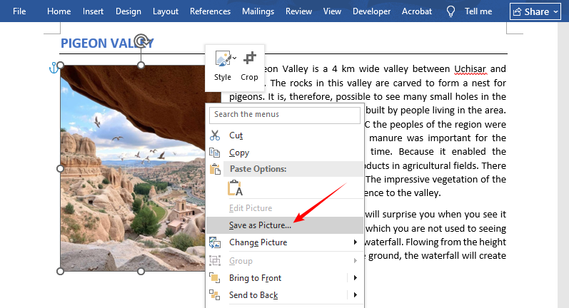 Save as Picture dialog box in Microsoft Word