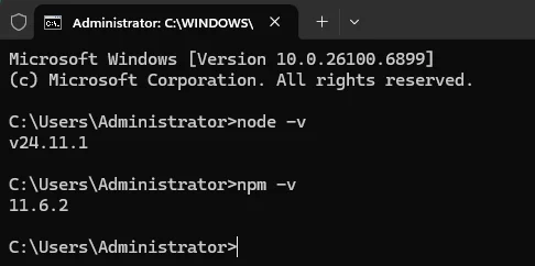 screenshot of checking node.js version with cmd