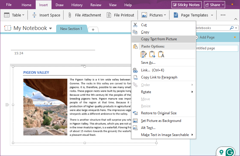 Copiar texto de una imagen usando Microsoft OneNote