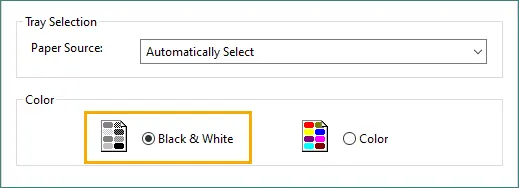 Sélectionnez Noir et Blanc dans la section Couleur